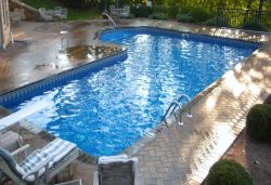 Pool Contractors